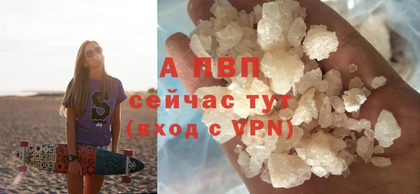 гашик Вяземский