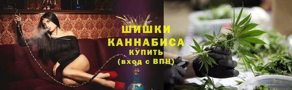 гашик Вяземский