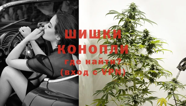 крисы Вязники