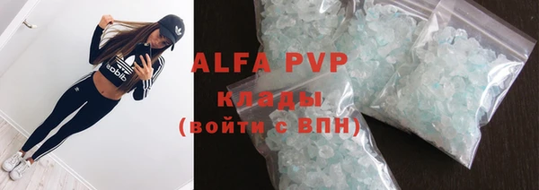 гашик Вяземский