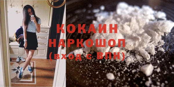 гашик Вяземский