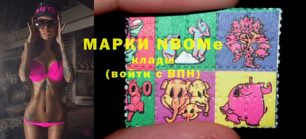 гашик Вяземский