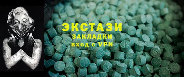 гашик Вяземский