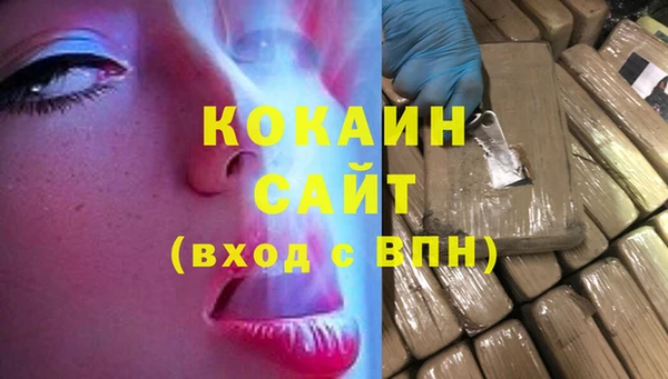 гашик Вяземский