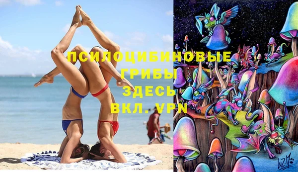 прущая мука Вязьма