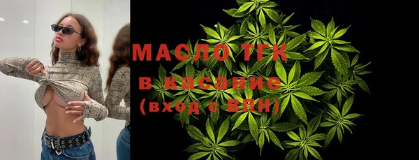 гашик Вяземский