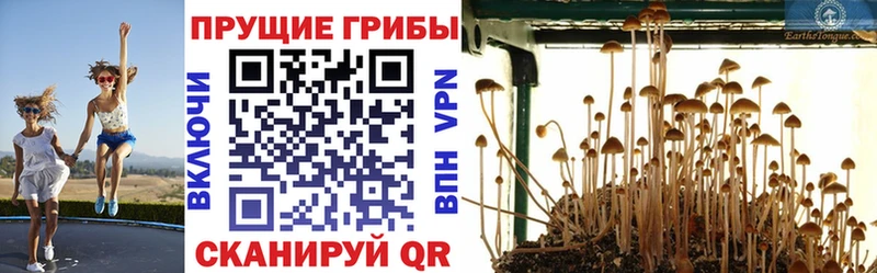 Псилоцибиновые грибы Magic Shrooms  Власиха 